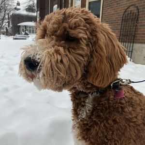 Meet your Posher, Chloé